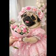 ヒメ日記 2026/02/06 05:31 投稿 乱(らん) メンエスじゃ物足りない方の専門店！Deep