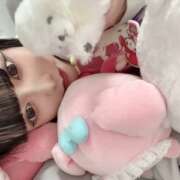 ヒメ日記 2025/04/02 17:38 投稿 りあ【激あま絶対黒髪美少女】 STELLA TOKYO－ステラトウキョウ－