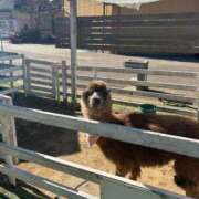 ヒメ日記 2025/02/25 21:37 投稿 天月りょうか ハプニング痴漢電車or全裸入室