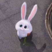 ヒメ日記 2025/03/03 14:57 投稿 天月りょうか ハプニング痴漢電車or全裸入室