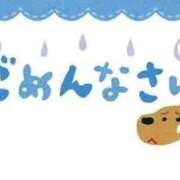 ヒメ日記 2025/11/09 17:19 投稿 ひかり アネックスジャパン