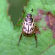 ヒメ日記 2025/05/19 04:26 投稿 なつ モアグループ川越人妻花壇