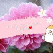 ヒメ日記 2025/02/11 12:31 投稿 比奈多(ひなた) グランドオペラ横浜