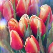 ヒメ日記 2025/04/13 00:15 投稿 比奈多(ひなた) グランドオペラ横浜