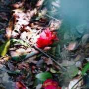 ヒメ日記 2025/04/19 08:41 投稿 比奈多(ひなた) グランドオペラ横浜