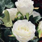 ヒメ日記 2025/05/08 22:41 投稿 比奈多(ひなた) グランドオペラ横浜