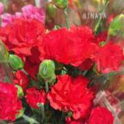 ヒメ日記 2025/05/11 18:02 投稿 比奈多(ひなた) グランドオペラ横浜