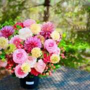 ヒメ日記 2025/05/19 11:51 投稿 比奈多(ひなた) グランドオペラ横浜