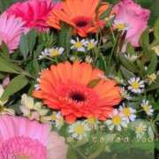 ヒメ日記 2025/05/20 08:51 投稿 比奈多(ひなた) グランドオペラ横浜