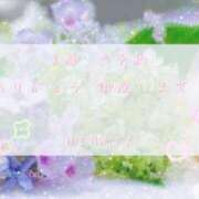 ヒメ日記 2025/05/25 07:21 投稿 比奈多(ひなた) グランドオペラ横浜