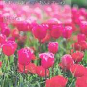 比奈多(ひなた) 向かっております...👠 グランドオペラ横浜