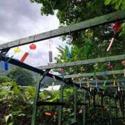 ヒメ日記 2025/08/16 13:07 投稿 みやび スイカ