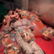 ヒメ日記 2025/12/31 21:30 投稿 みやび スイカ