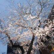 ヒメ日記 2026/03/28 11:16 投稿 みやび スイカ