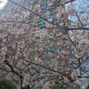 ヒメ日記 2026/03/30 16:38 投稿 みやび スイカ