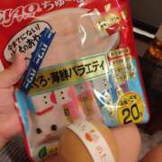 ヒメ日記 2025/04/21 15:44 投稿 みさき 千葉人妻花壇