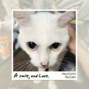 ヒメ日記 2025/05/05 21:48 投稿 みさき 千葉人妻花壇