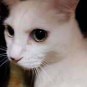 ヒメ日記 2025/12/27 22:17 投稿 みさき 千葉人妻花壇