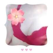 ヒメ日記 2026/02/09 18:05 投稿 ひかる 奥様特急長岡店