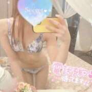 ヒメ日記 2025/05/02 14:24 投稿 みこと LOVE CLOVER（らぶくろーばー）