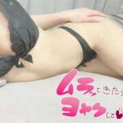 ヒメ日記 2025/09/25 14:34 投稿 みこと LOVE CLOVER（らぶくろーばー）