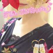 ヒメ日記 2024/12/08 23:14 投稿 みほ 柏人妻花壇