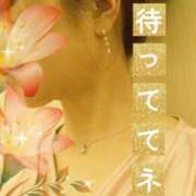 ヒメ日記 2024/12/11 21:45 投稿 みほ 柏人妻花壇