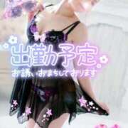 ヒメ日記 2024/12/13 21:47 投稿 みほ 柏人妻花壇