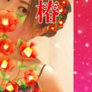 ヒメ日記 2025/02/16 09:15 投稿 みほ 柏人妻花壇