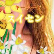 ヒメ日記 2025/03/09 09:30 投稿 みほ 柏人妻花壇