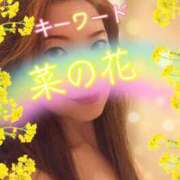 ヒメ日記 2025/03/29 09:45 投稿 みほ 柏人妻花壇