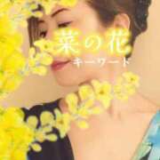 ヒメ日記 2025/03/30 09:45 投稿 みほ 柏人妻花壇