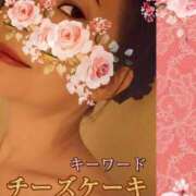 ヒメ日記 2025/04/06 09:30 投稿 みほ 柏人妻花壇