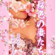 ヒメ日記 2025/04/12 09:30 投稿 みほ 柏人妻花壇