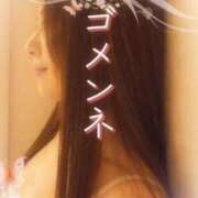 ヒメ日記 2025/04/27 10:39 投稿 みほ 柏人妻花壇