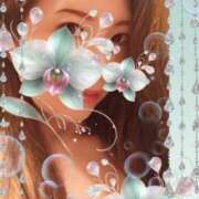 ヒメ日記 2025/05/06 16:30 投稿 みほ 柏人妻花壇