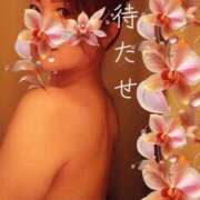 ヒメ日記 2025/05/15 20:40 投稿 みほ 柏人妻花壇