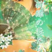 ヒメ日記 2025/05/17 09:00 投稿 みほ 柏人妻花壇