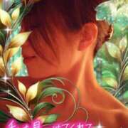 ヒメ日記 2025/05/17 23:23 投稿 みほ 柏人妻花壇