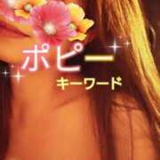 ヒメ日記 2025/05/18 09:00 投稿 みほ 柏人妻花壇