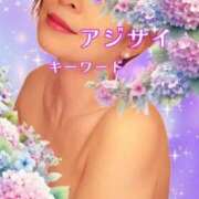 ヒメ日記 2025/06/15 09:15 投稿 みほ 柏人妻花壇