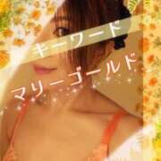 ヒメ日記 2025/07/13 09:00 投稿 みほ 柏人妻花壇