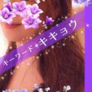 ヒメ日記 2025/07/20 09:00 投稿 みほ 柏人妻花壇