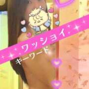 ヒメ日記 2025/07/27 09:00 投稿 みほ 柏人妻花壇