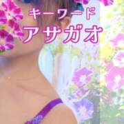 ヒメ日記 2025/08/09 09:00 投稿 みほ 柏人妻花壇