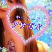 ヒメ日記 2025/08/10 09:00 投稿 みほ 柏人妻花壇