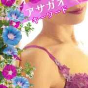 ヒメ日記 2025/08/11 09:00 投稿 みほ 柏人妻花壇