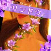 ヒメ日記 2025/09/15 09:00 投稿 みほ 柏人妻花壇