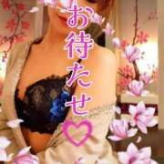 ヒメ日記 2025/09/25 18:45 投稿 みほ 柏人妻花壇