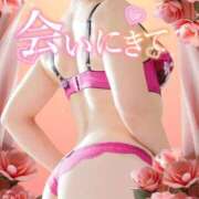 ヒメ日記 2025/09/26 20:28 投稿 みほ 柏人妻花壇